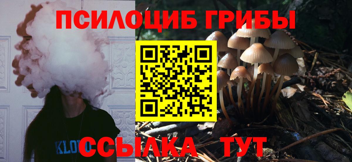 Псилоцибиновые грибы мухоморы  Вход с VPN  Дальнереченск 